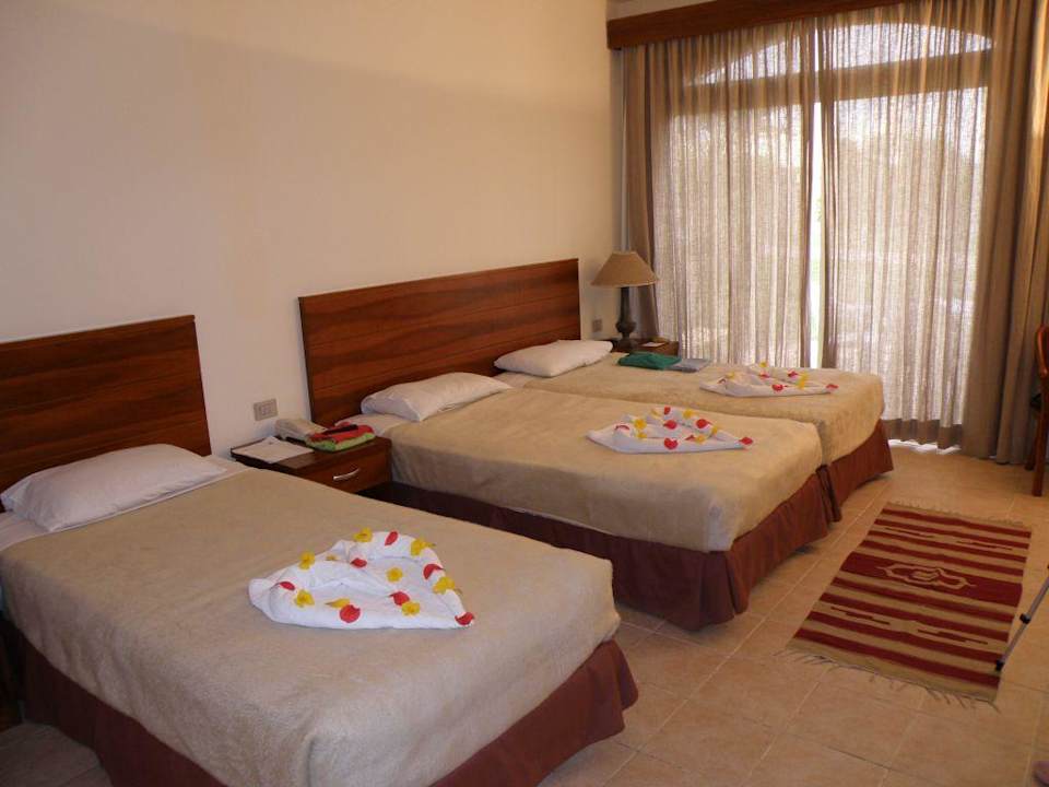 14 luty - prezent od pana sprzątacza. Amphoras Blu