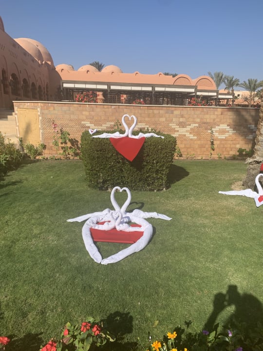 Gartenanlage Jaz Makadi Oasis Resort