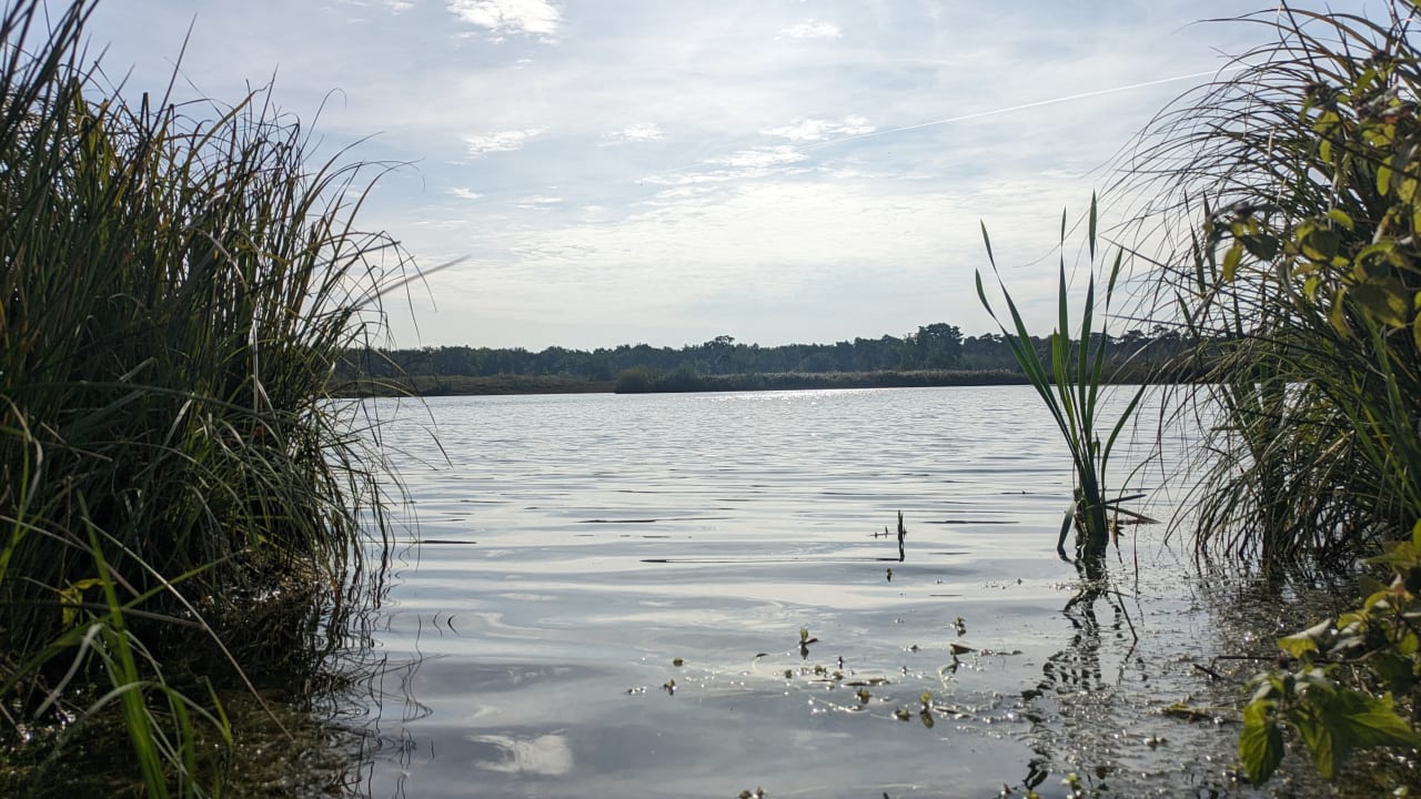 Gartenanlage Center Parcs De Kempervennen