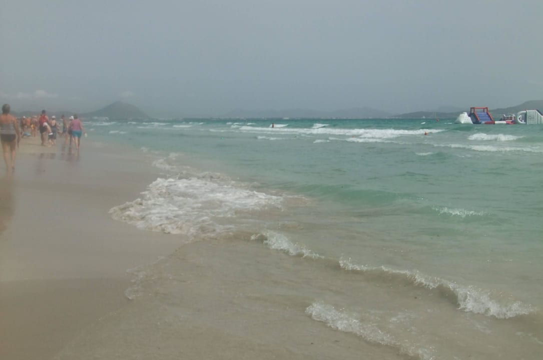 Kristallklares Wasser The Sea Hotel by Grupotel - Adults only