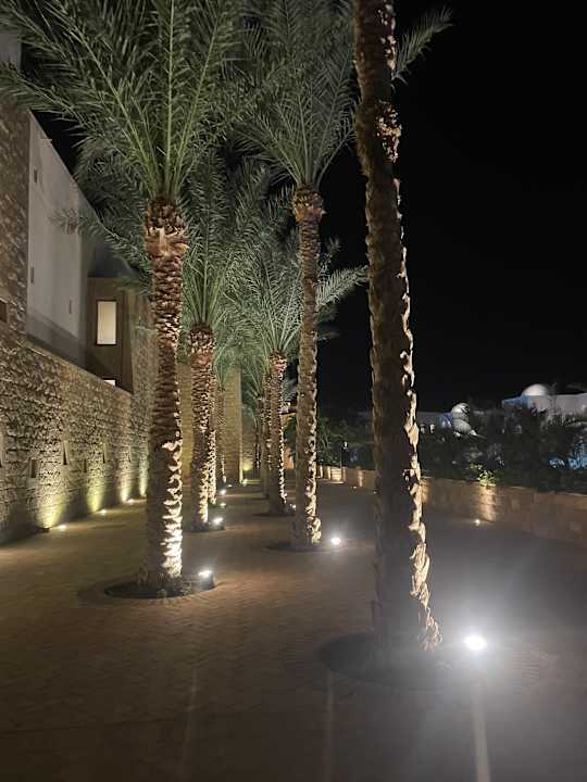 Gartenanlage Fort Arabesque Resort, Spa & Villas