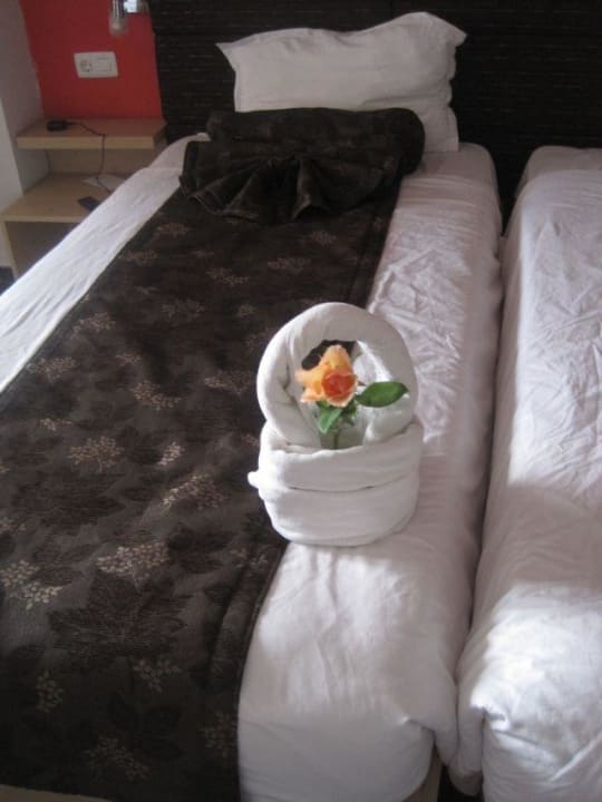 Zimmerdeko wir hatten Zimmer 529 gute Putzfrau  SH Dolce Vita