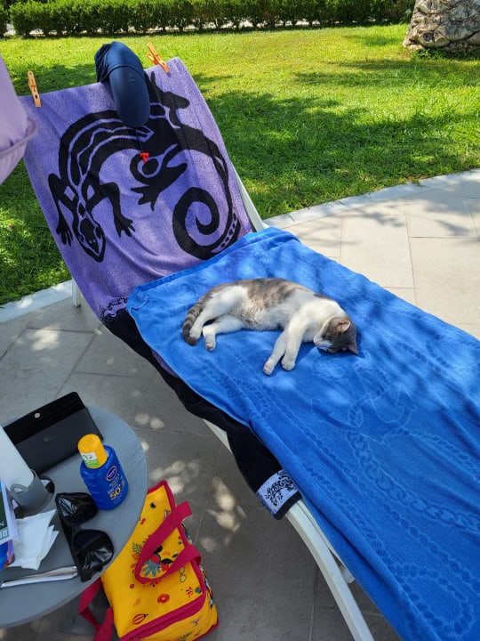 Gartenanlage Hotel Esperia