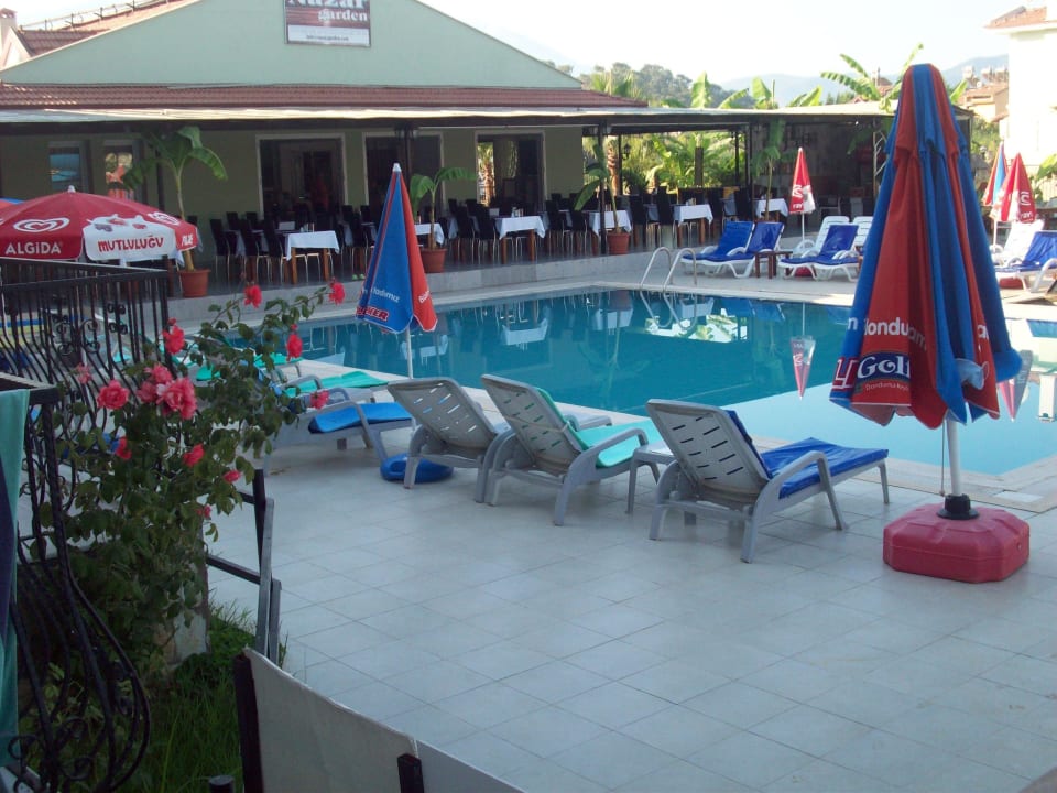 Gepflegter Pool Hotel Nazar Garden