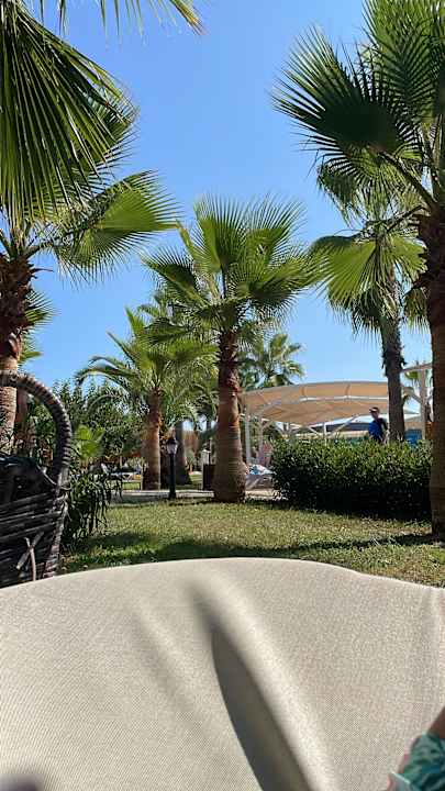 Außenansicht Sultan of Dreams Hotel & Spa