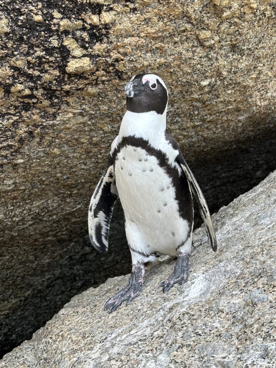 Strand Tintswalo at Boulders