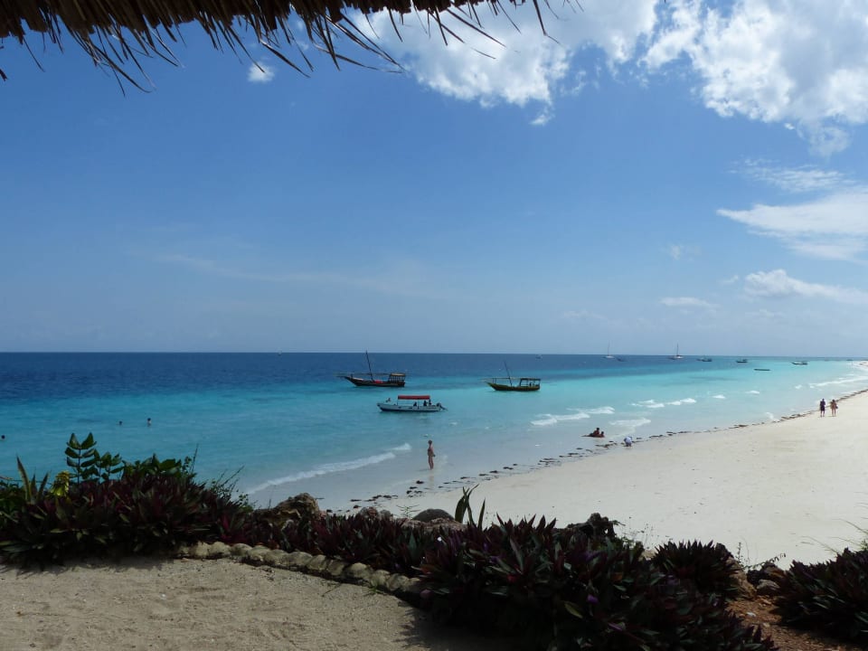 Einfach genial...bei Ebbe Royal Zanzibar Beach Resort