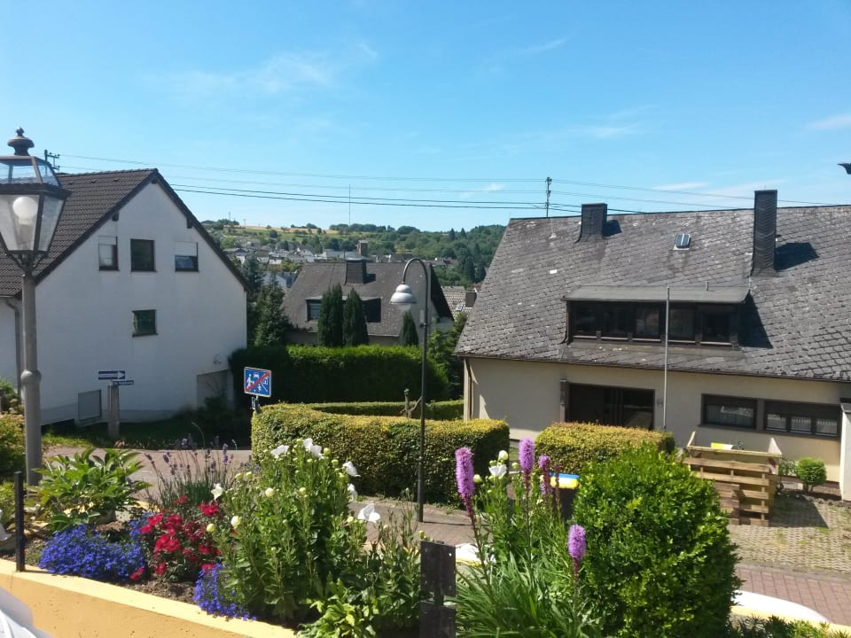 Umgebung Hotel Rosenhof Waldesch