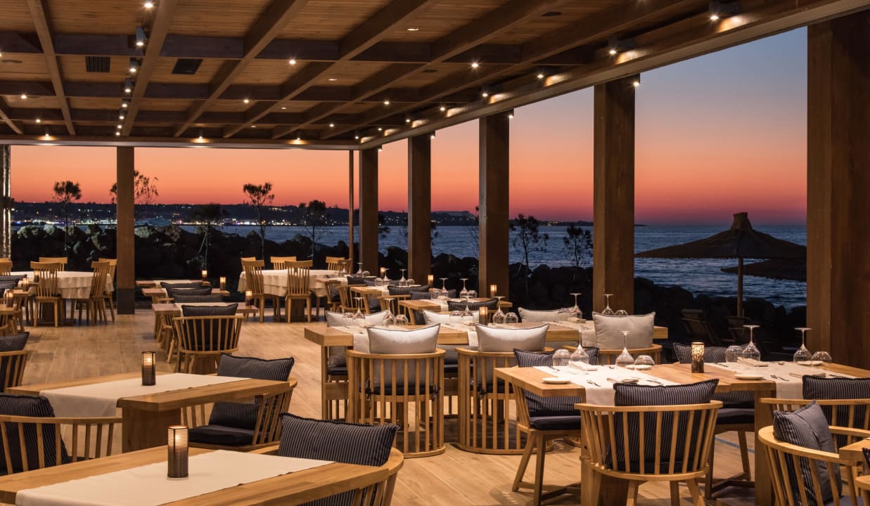 Gastro Nana Princess