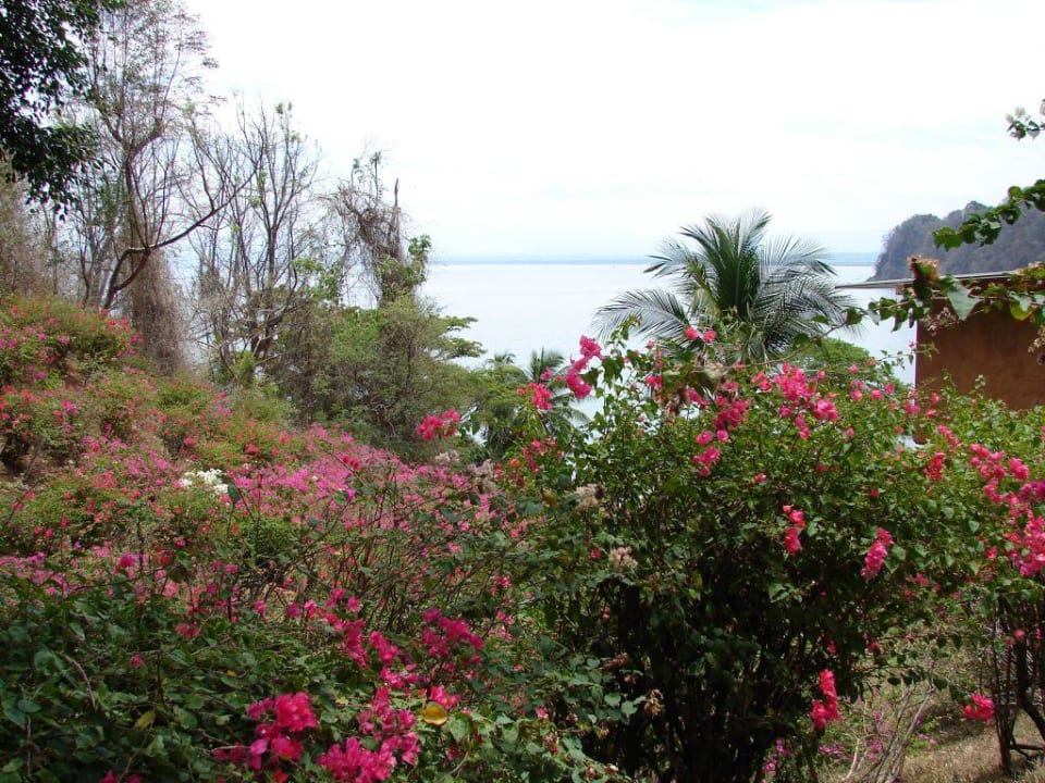 Blick auf die Playa Manta Hotel & Club Punta Leona