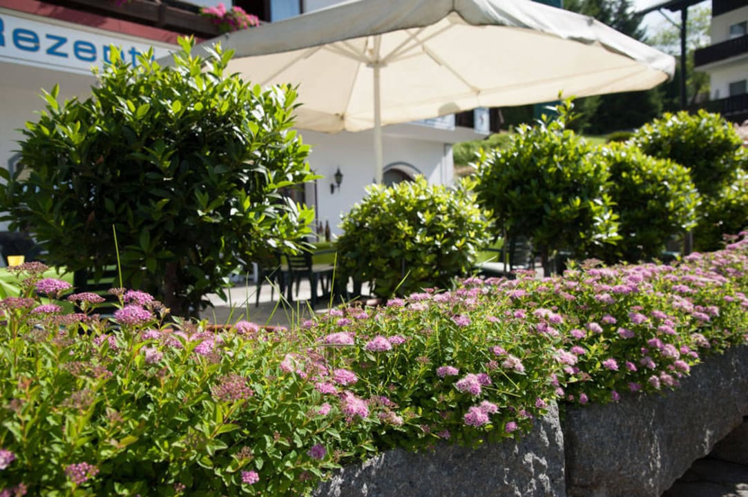 Garten mit Terrasse Hotel Königshof