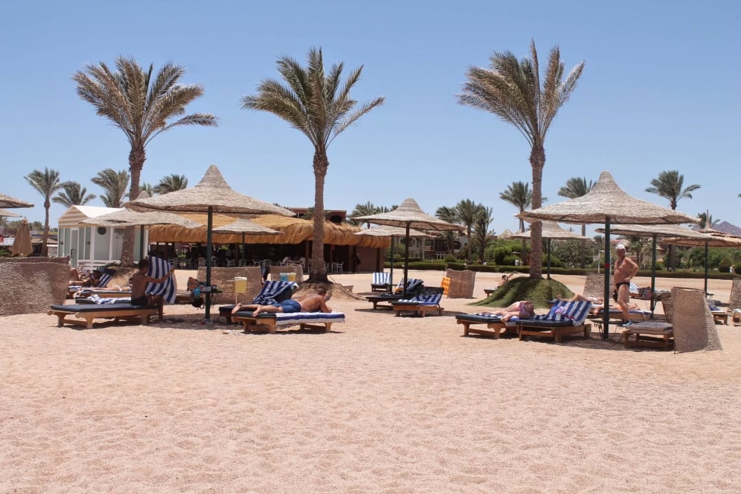 "Plaża z wody" Aurora Oriental Resort Sharm El Sheikh (Nabq Bay ...