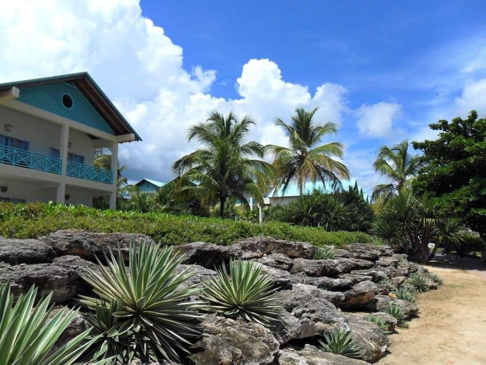 Haus 4 Dreams La Romana Resort & Spa