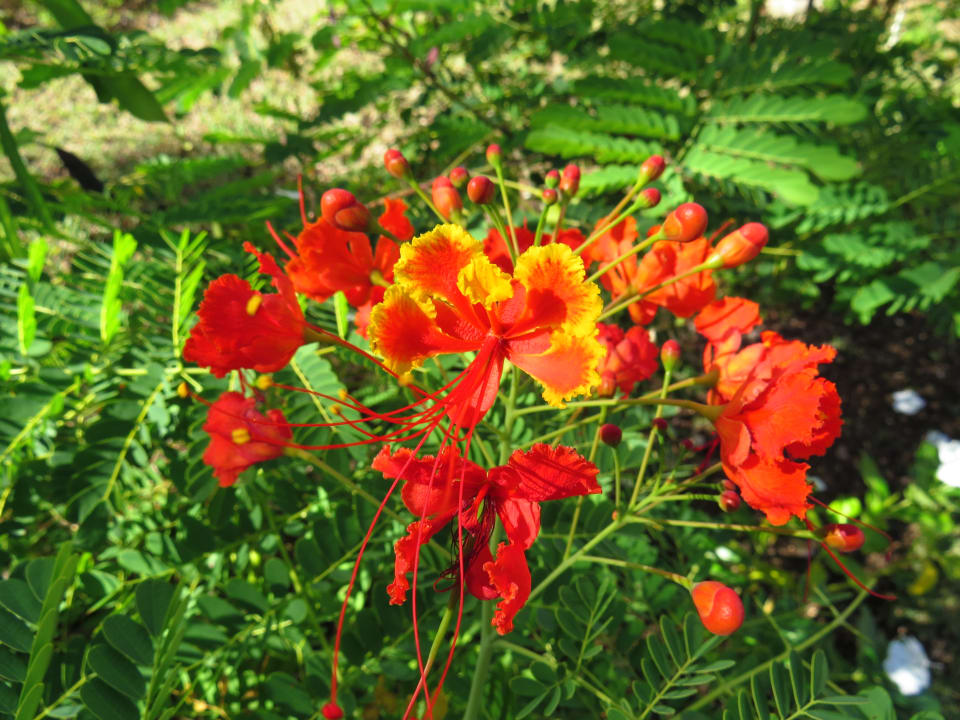 Gartenanlage Sol Rio De Luna y Mares