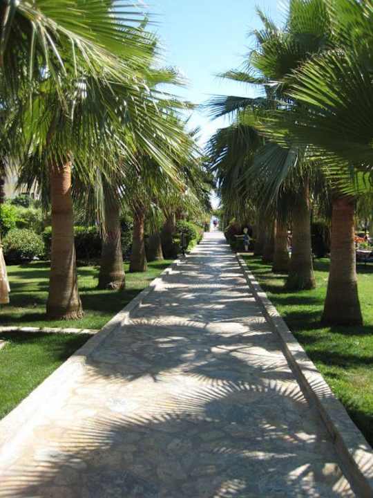 Blick zum Strand Hotel Royal Garden Beach
