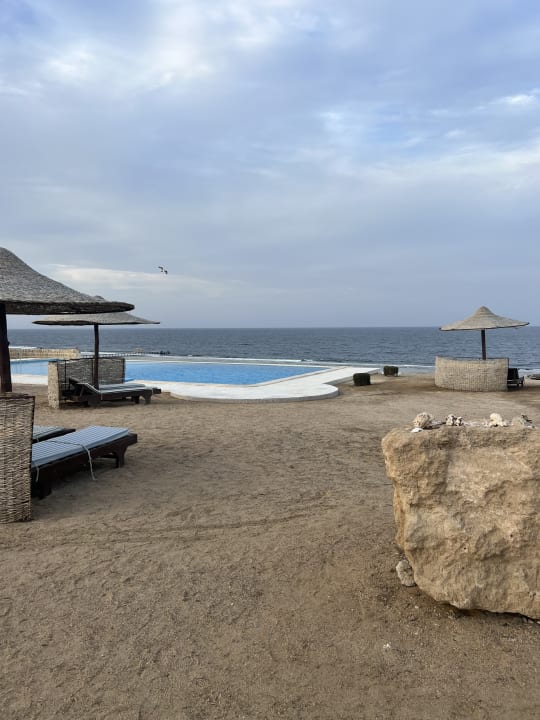 Pool The Oasis Dive Resort