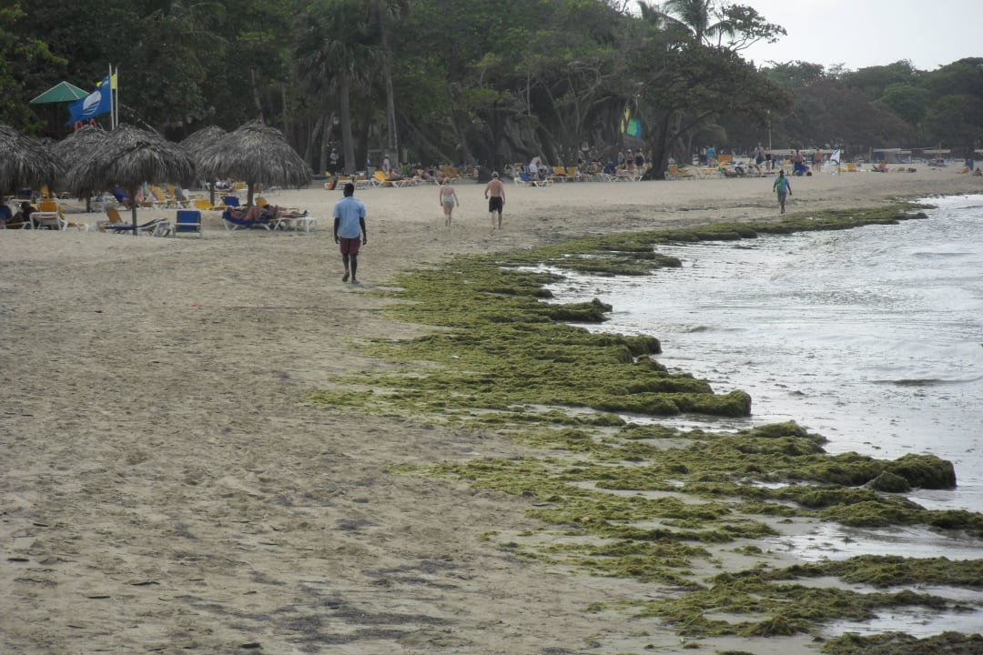 Algen Iberostar Waves Costa Dorada
