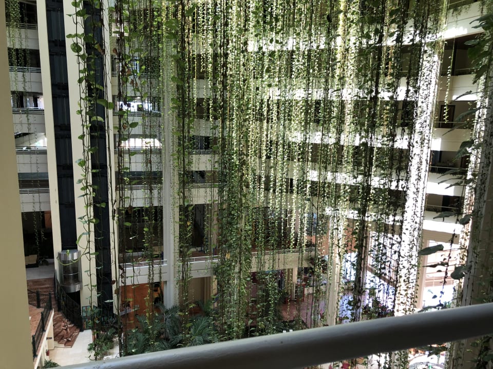 Gastro Blau varadero - Adults only