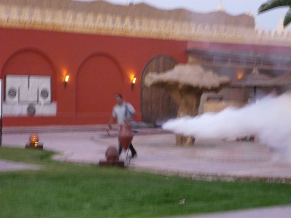 Gegen Mücken Pickalbatros Alf Leila Wa Leila Resort - Neverland Hurghada