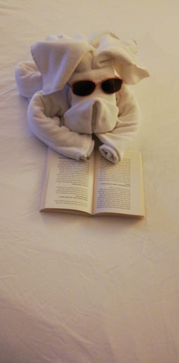 Zimmer Aydinbey Kings Palace & Spa