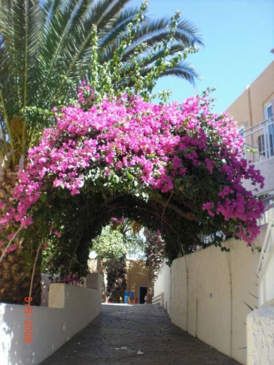 In der Hotelanlage Nefeli Hotel Rethymno