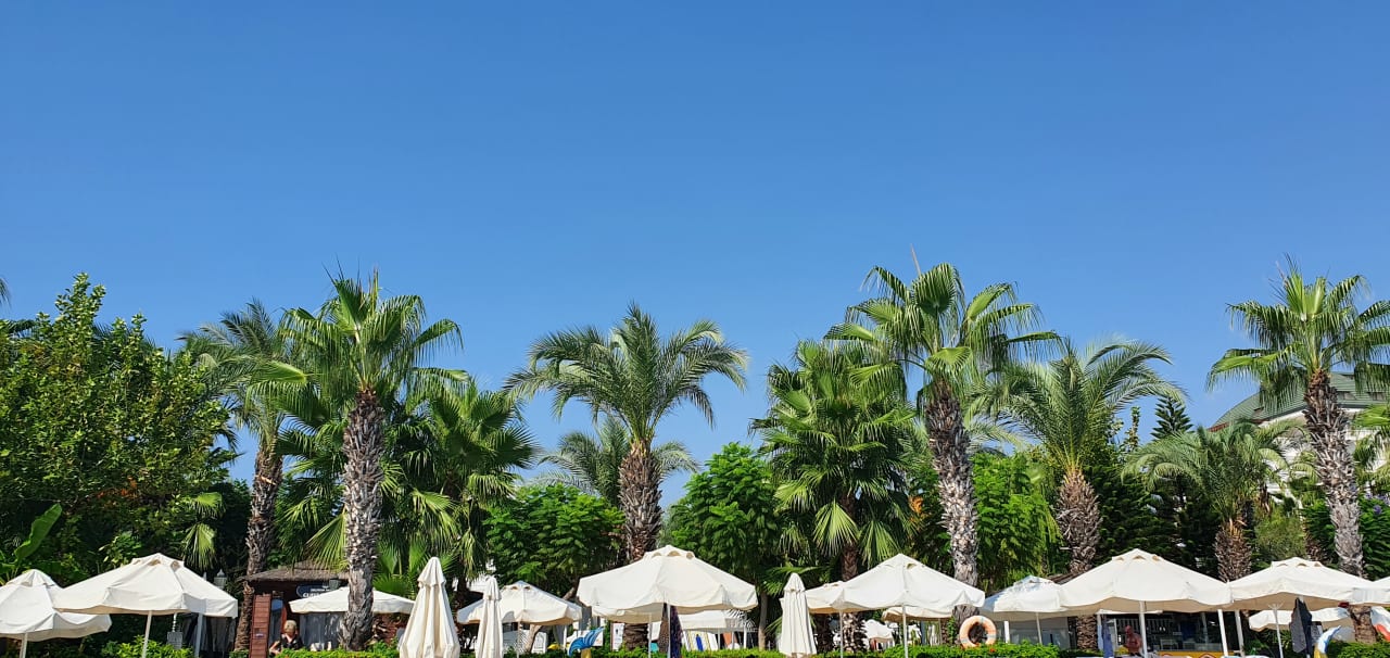 Pool Hotel Delphin Imperial