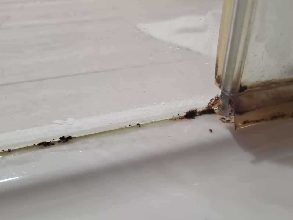 Zimmer Alcudia Garden Aparthotel