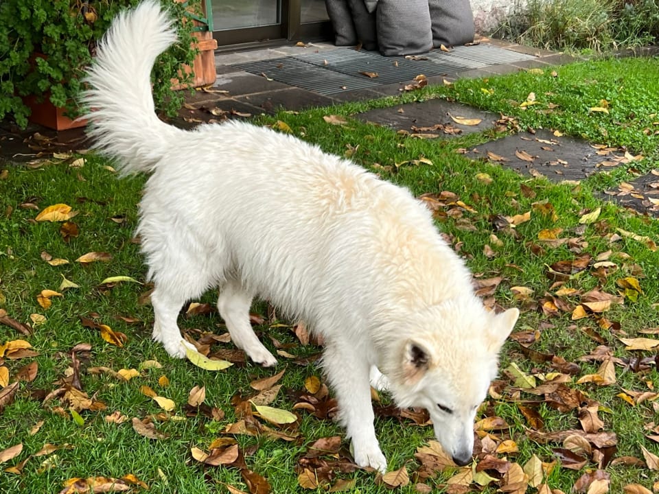 Sonstiges Hotel Lagrein