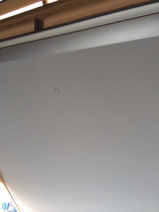 Rollo mit zerdrückter Mücke Lindner Hotel Sylt