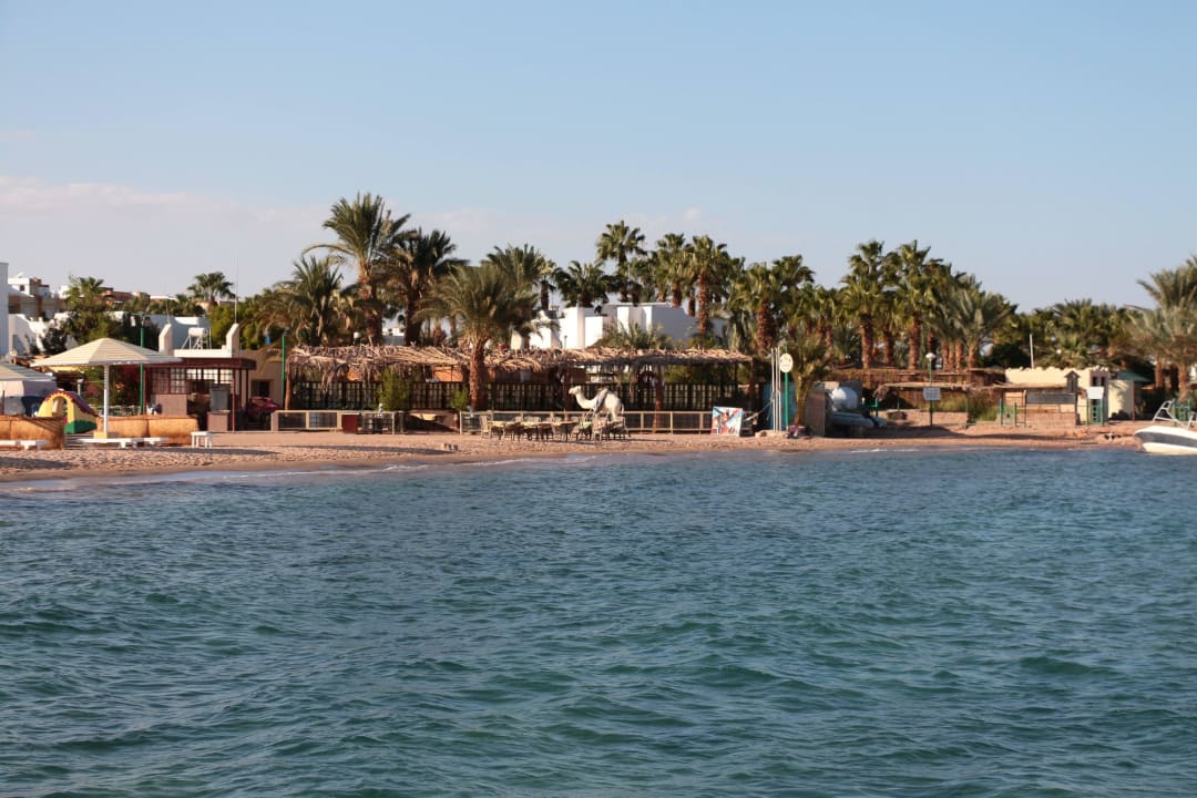 Fischrestaurant Menaville Safaga