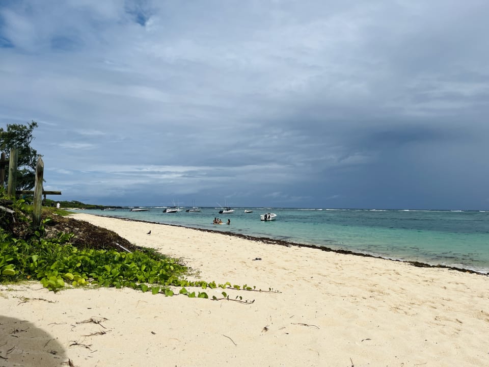 Strand Friday Attitude