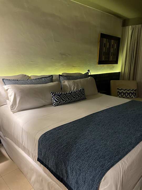 Zimmer Dreams Jardín Tropical