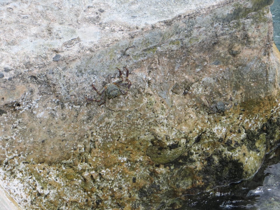 Ur-Einwohner auf der Insel Adaaran Select Hudhuran Fushi - Premium All Inclusive