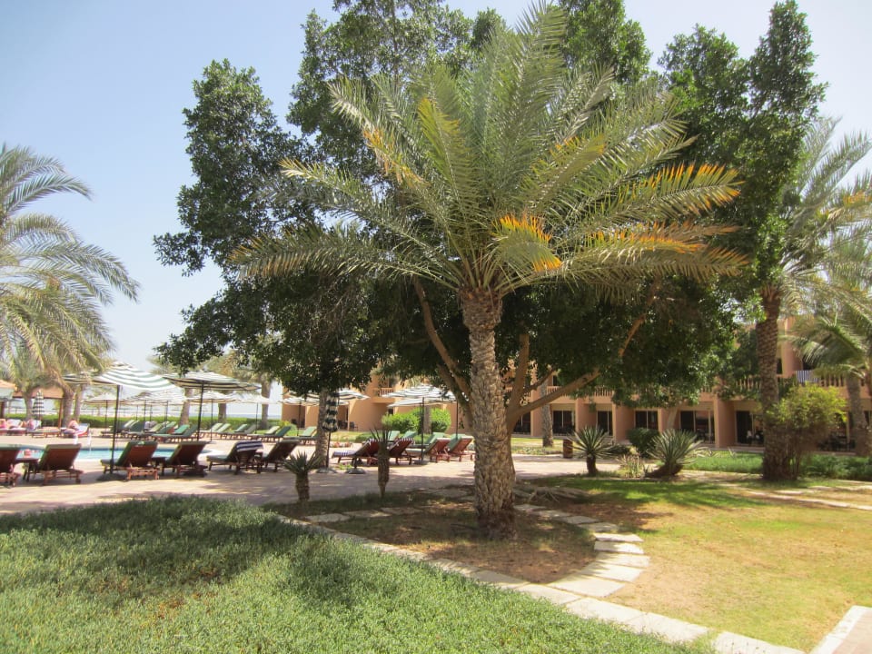 Beim Hauptpool BM Beach Resort