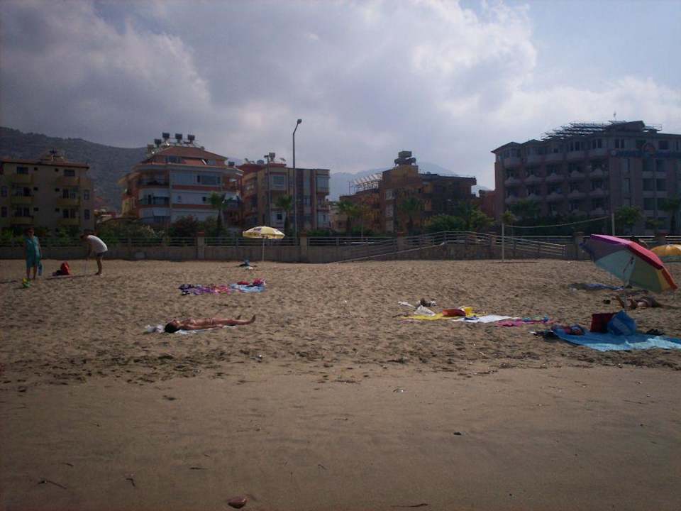 Widok na hotel  z plaży Hotel Kleopatra Alis