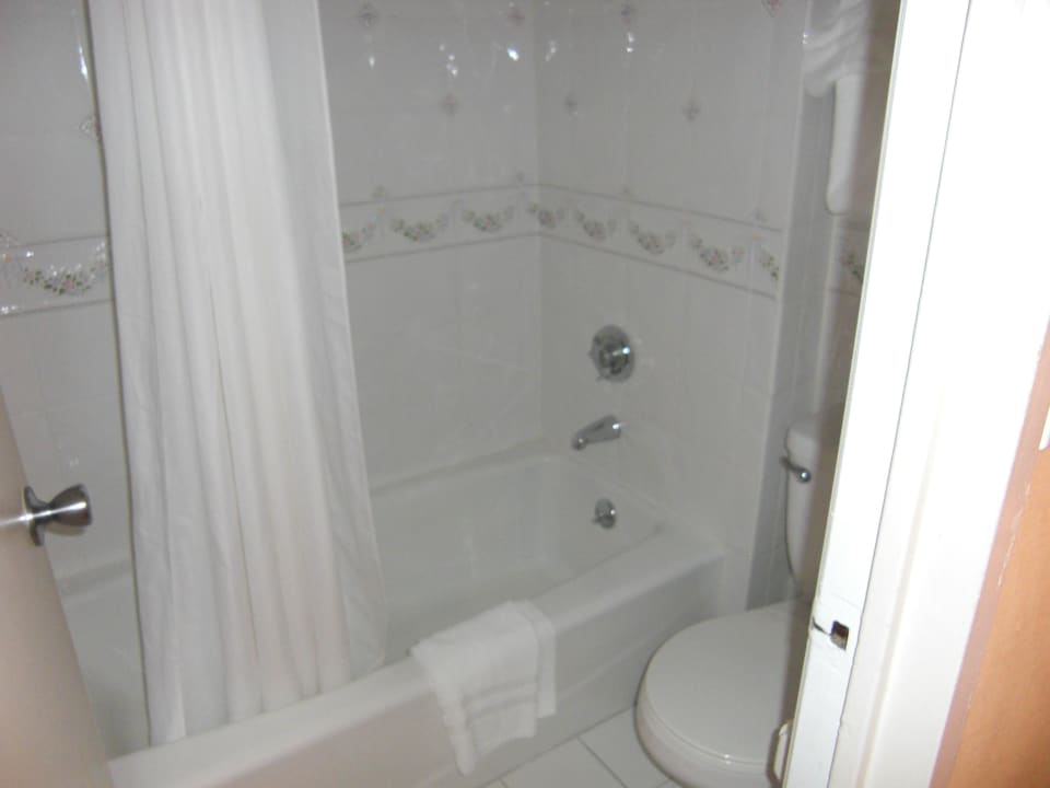 Wannenbad The Skyline Hotel New York