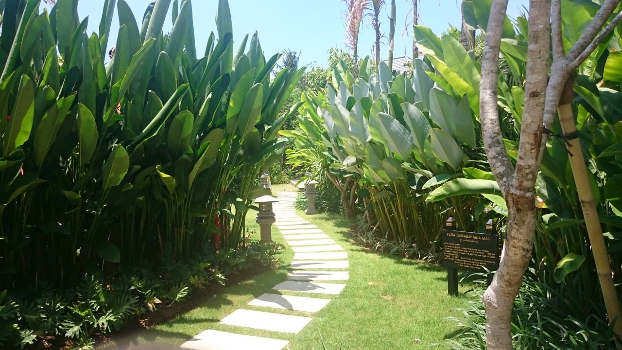 Gartenanlage The Lovina