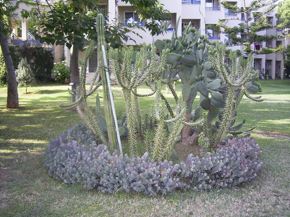 "Botanischer Garten" Labranda Alantur Resort
