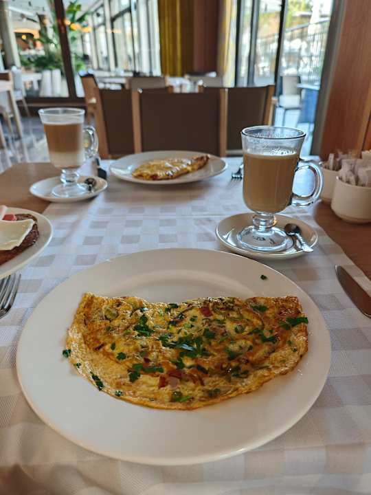 Gastro Seashell Vega