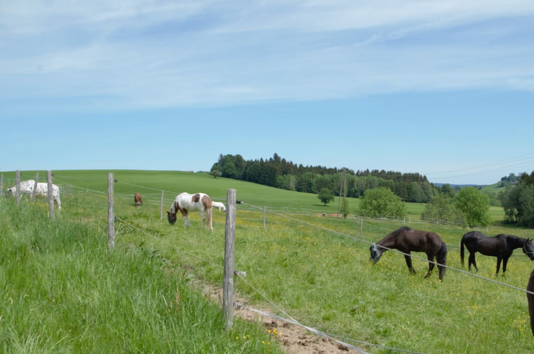 Sonstiges Schochenhof - Ferienzimmer