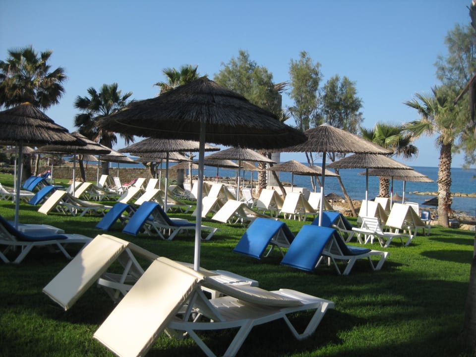 Gartenanlage St. George Beach Hotel & Spa Resort