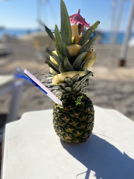 Sonstiges Seaden Sea Planet Resort & Spa