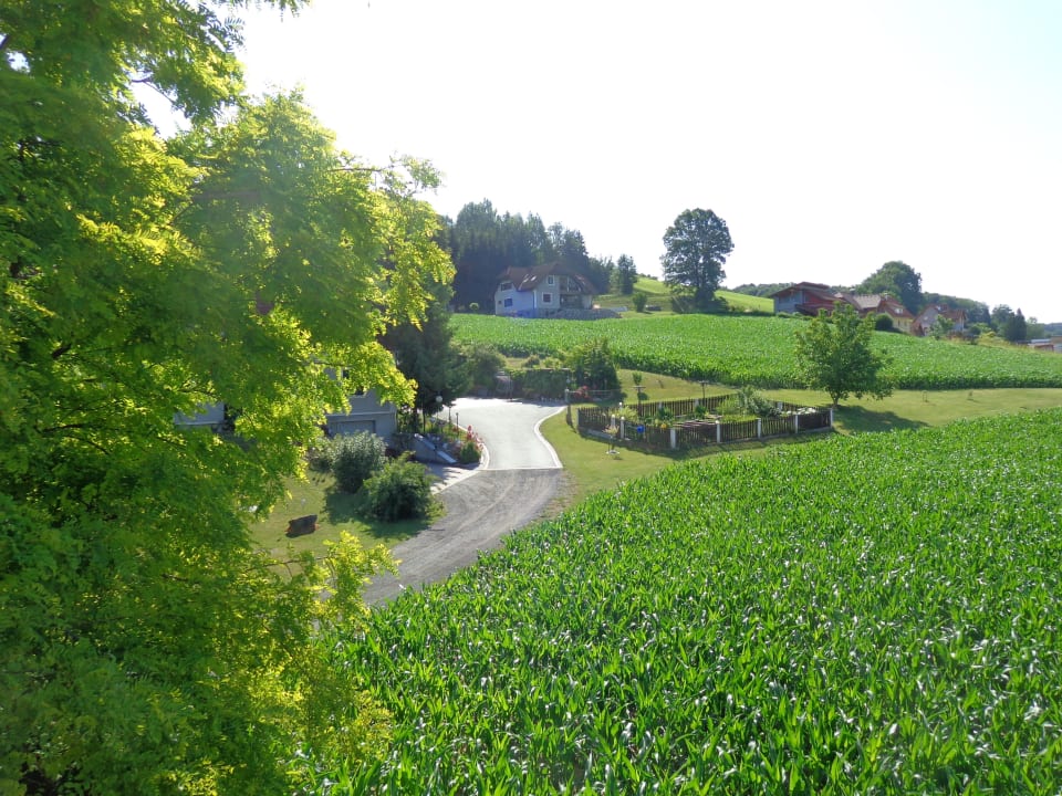 Grün 2 Malerwinkl Kunsthotel + Restaurant