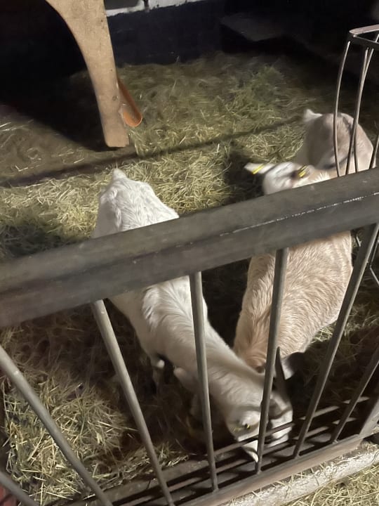 Sport & Freizeit Ferienhof Röhling