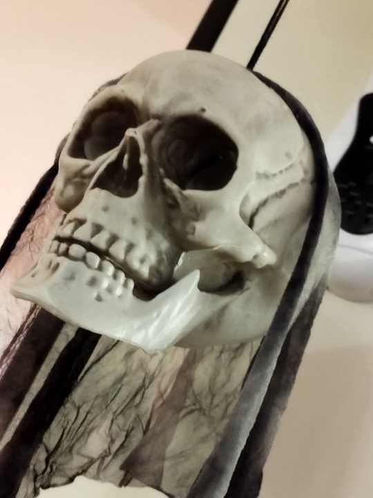 Sonstiges allsun Hotel Pil-lari Playa