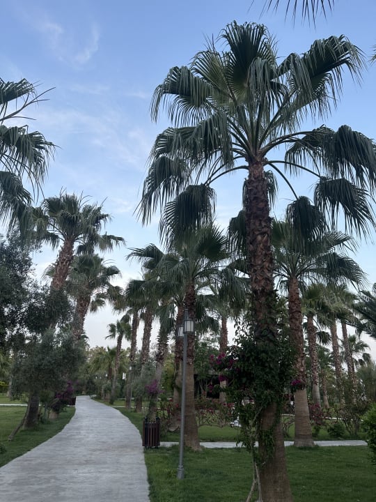 Gartenanlage Seaden Sea Planet Resort & Spa