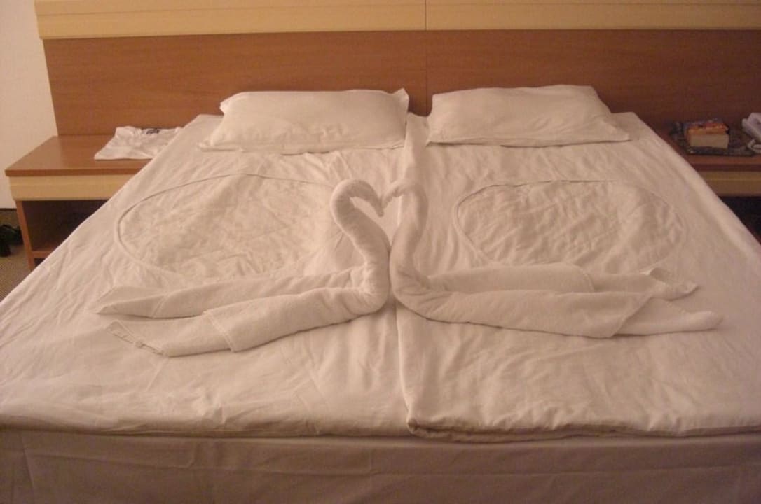 Schwäne auf dem Bett DAS Club Hotel Sunny Beach