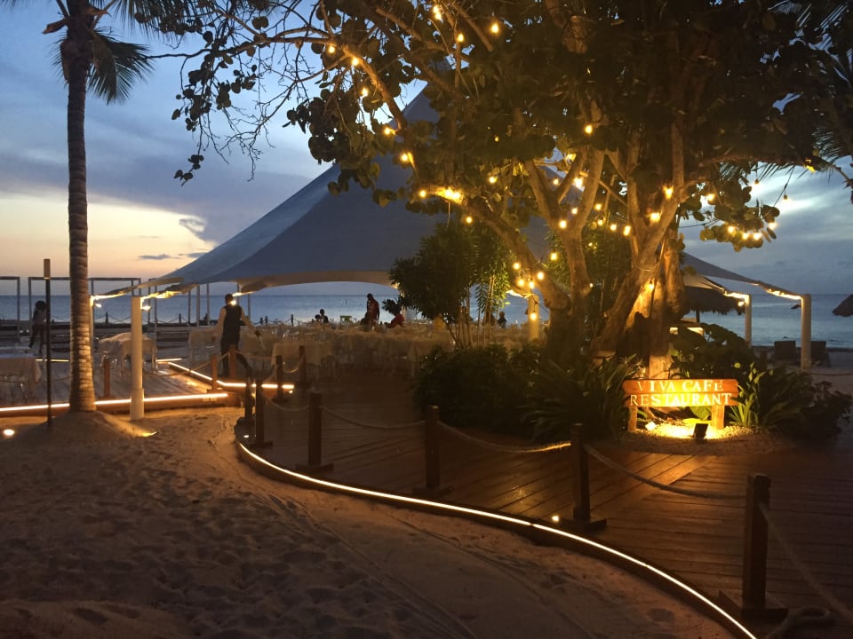 Gastro Hotel Viva Dominicus Palace by Wyndham-All Inclusive Resort