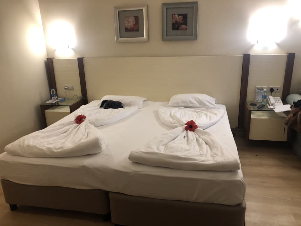 Zimmer Megasaray Club Belek