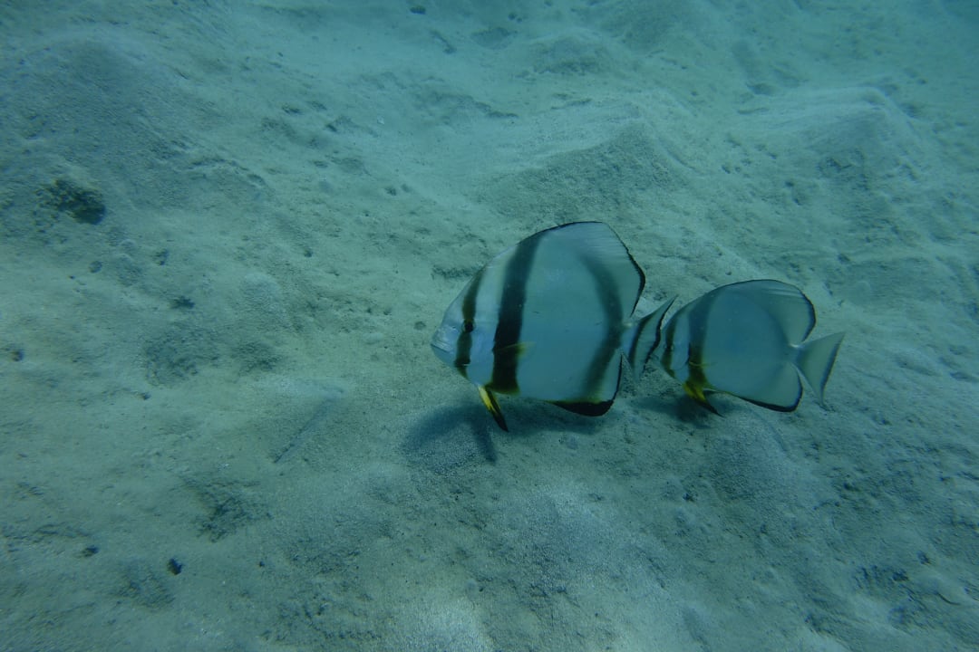 Sport & Freizeit Lahami Bay Beach Resort